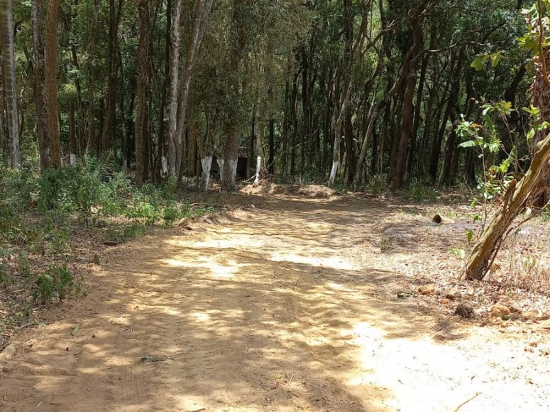 Terreno à venda centro com 3531m² e 1 quarto por R$ 220.000 - 350080482-10.jpeg