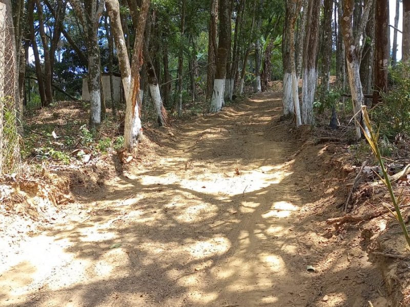 Terreno à venda centro com 3531m² e 1 quarto por R$ 220.000 - 452033901-15.jpeg