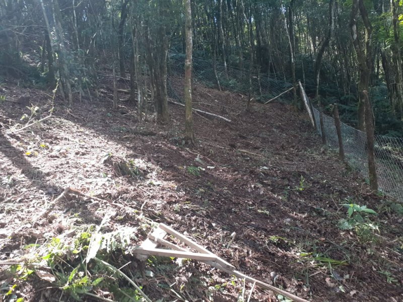 Chácara à venda Centro com 2000m² e 2 quartos por R$ 90.000 - 1167888301-foto-1-9.jpeg