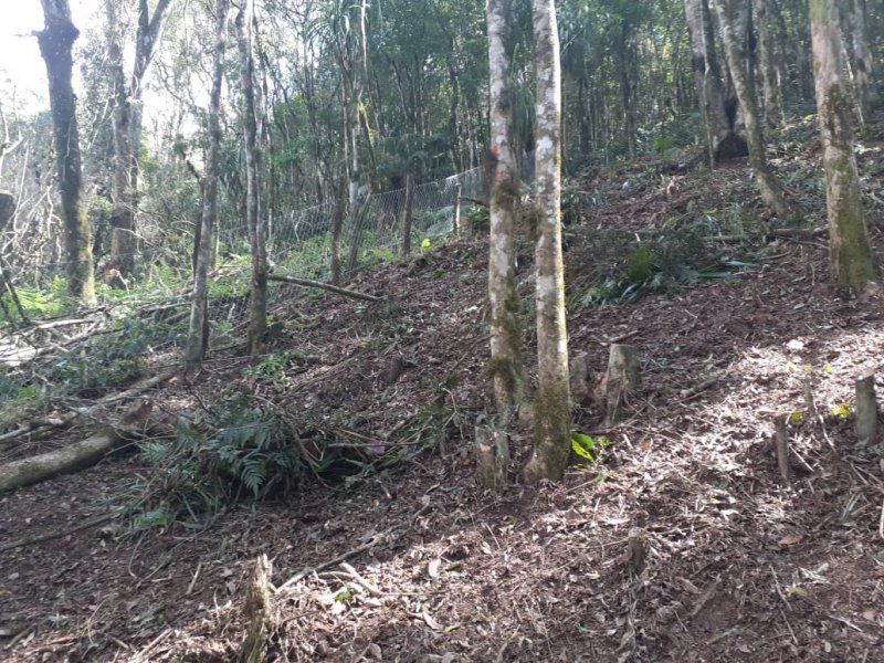 Chácara à venda Centro com 2000m² e 2 quartos por R$ 90.000 - 1675187360-foto-1-13.jpeg