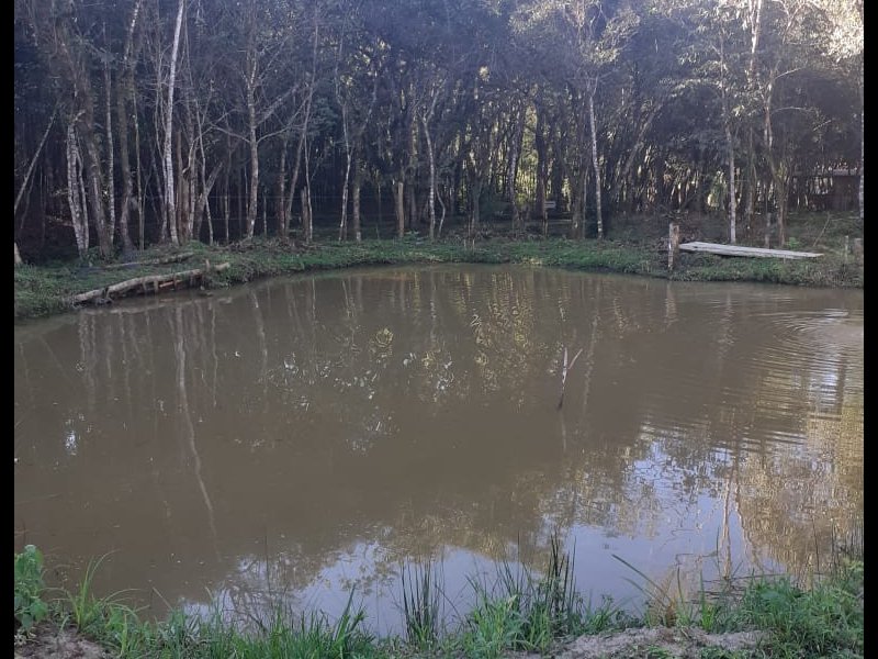 Chácara à venda Centro com 2000m² e 2 quartos por R$ 90.000 - 683803233-foto-1-11.jpeg