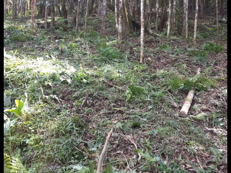 Chácara à venda Centro com 2000m² e 2 quartos por R$ 90.000 - 697081617-foto-1-12.jpeg