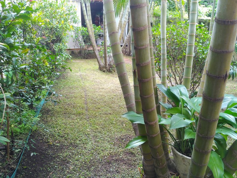 Casa à venda Conjunto Residencial Vista Verde com 158m² e 3 quartos por R$ 910.000 - 27349548-p-20200301-150151.jpg