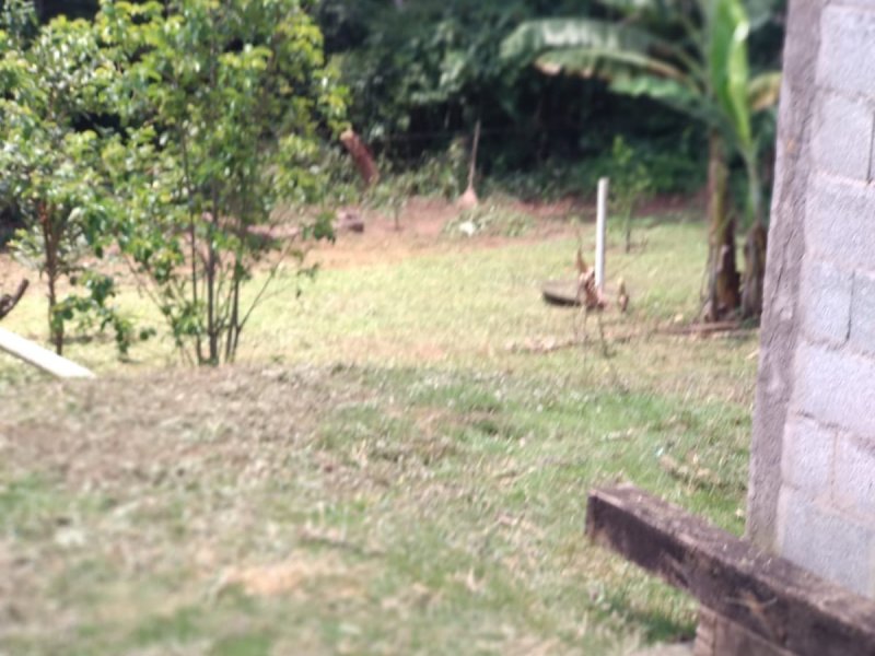 Chácara à venda Transurb com 1000m² e 1 quarto por R$ 225.000 - 1224208249-df34a34e-e759-44ba-9d9d-d3d0758e5d29.jpeg