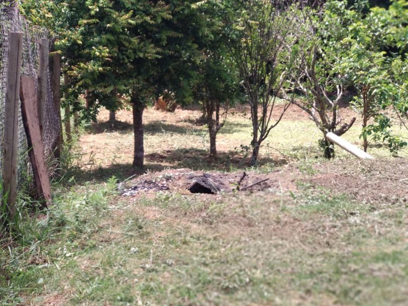 Chácara à venda Transurb com 1000m² e 1 quarto por R$ 225.000 - 1251455667-cb6dcc35-95a0-4465-87a2-c6532dd38036.jpeg