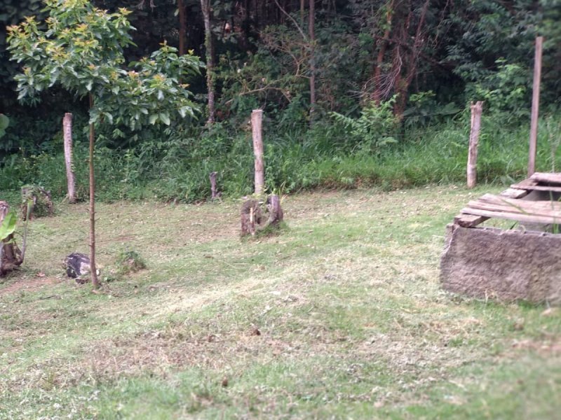 Chácara à venda Transurb com 1000m² e 1 quarto por R$ 225.000 - 1303218018-1e1e806c-409f-43e0-8c80-8687ea2ceb7a.jpeg