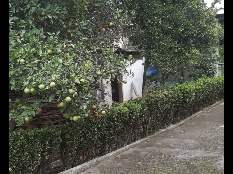 Terreno à venda Paloma com 516m² e 1 quarto por R$ 430.000 - 1986149897-whatsapp-image-2022-04-13-at-15.jpeg