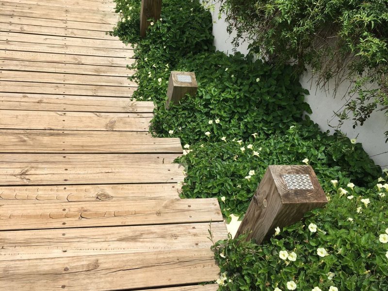 Terreno à venda Centro com 441m² e 1 quarto por R$ 300.000 - 2012319013-0190ed38-1afd-4415-9d34-4f21592c1856.jpeg