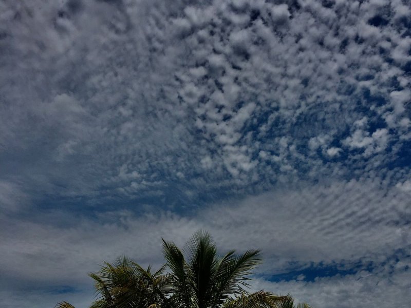 Terreno à venda Centro com 441m² e 1 quarto por R$ 300.000 - 234382058-06aeedc3-c522-46ff-96cc-a2026af35d8d.jpeg