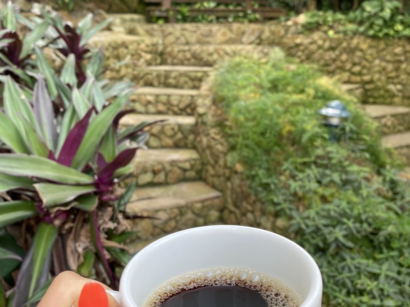 Comercial à venda Taio com 300m² e 1 quarto por R$ 1.350.000 - 1437899938-coffe-time.jpg