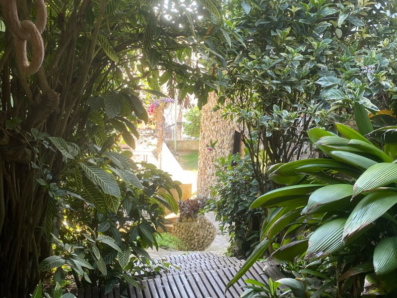 Comercial à venda Taio com 300m² e 1 quarto por R$ 1.350.000 - 1852724619-img-3458.jpeg