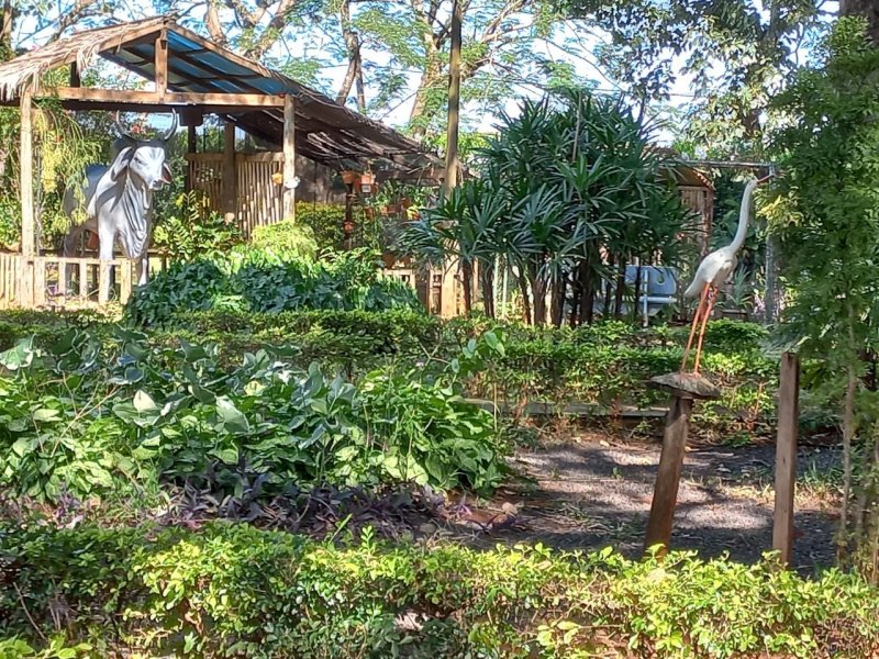 Chácara à venda Machados com 10550m² e 3 quartos por R$ 3.300.000 - 875843555-thumbnail-20220419-094732.jpg