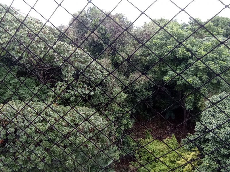 Apartamento à venda Jardim Placaford com 70m² e 2 quartos por R$ 303.000 - 1514512670-img-20220421-144225.jpg