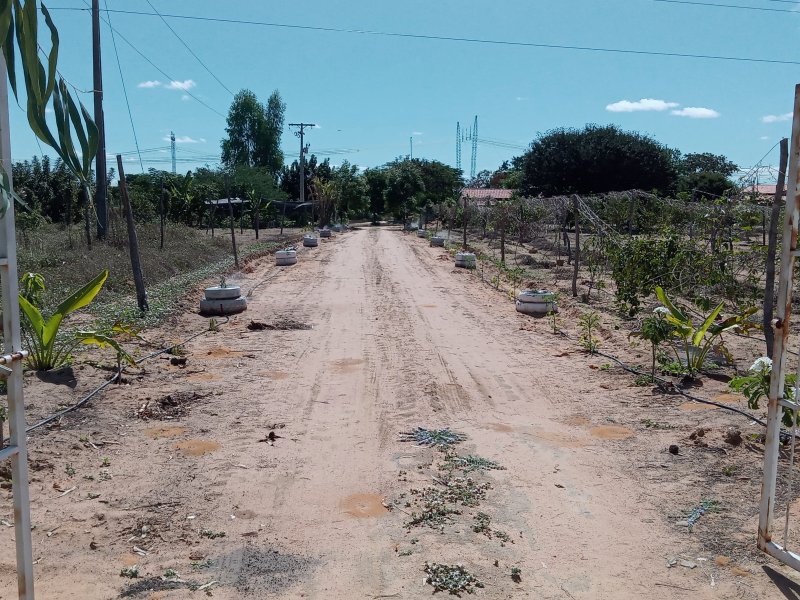 Sítio à venda Centro com 20000m² e 3 quartos por R$ 380.000 - 1652623108-20220422-095015.jpg