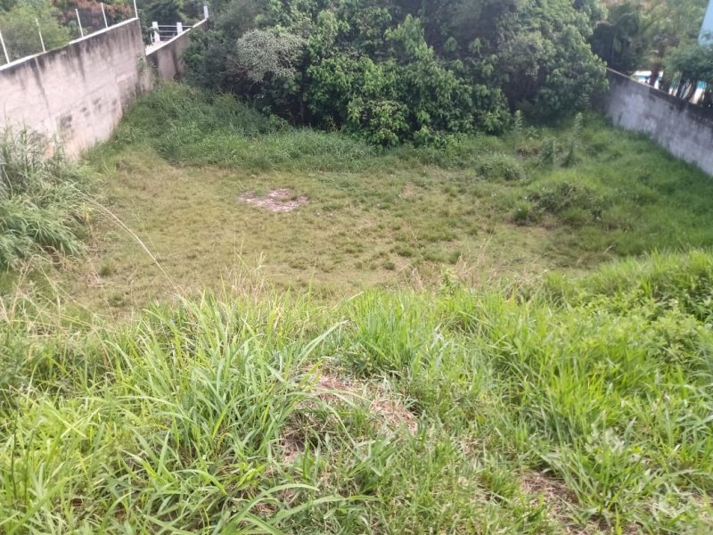 Terreno à venda Jardim Indaiá com 900m² e 1 quarto por R$ 500.000 - 2120311854-3720dcd4-74d0-40db-b0e8-adb891db727f.jpeg