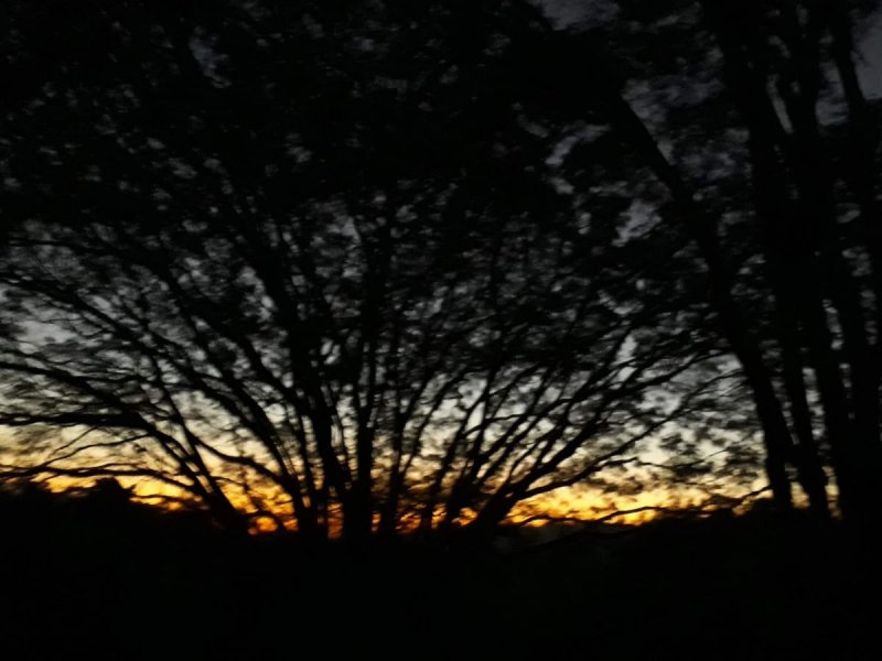 Chácara à venda Chácaras Embu Colonial com 407m² e 5 quartos por R$ 1.850.000 - 1138913586-img-20220423-wa0041.jpg