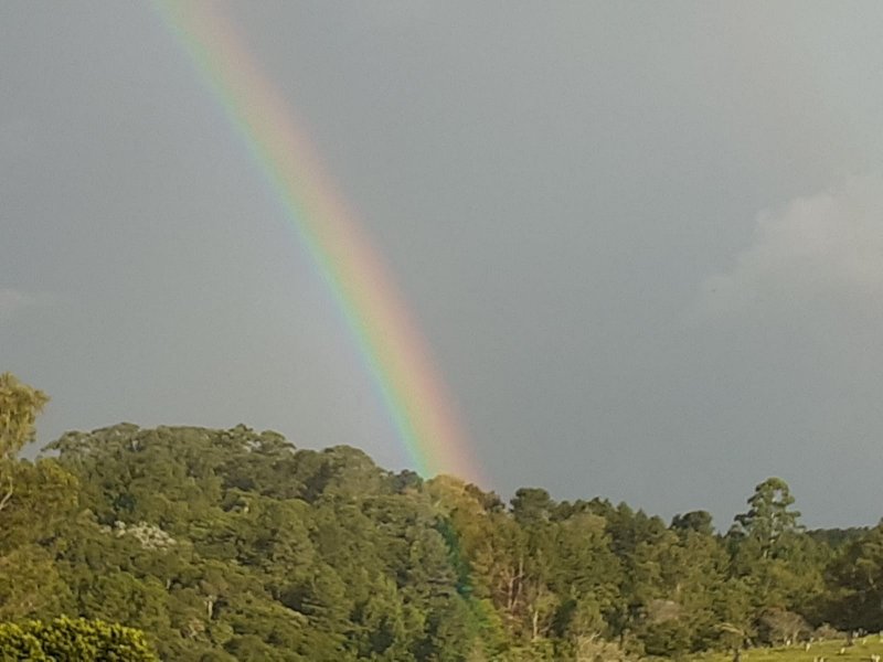 Chácara à venda Chácaras Embu Colonial com 407m² e 5 quartos por R$ 1.850.000 - 1845929505-img-20220423-wa0054.jpg