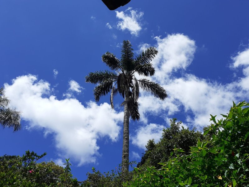 Chácara à venda Chácaras Embu Colonial com 407m² e 5 quartos por R$ 1.850.000 - 2027106691-img-20220423-wa0036.jpg