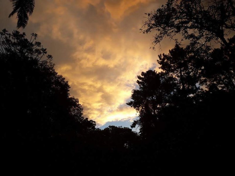 Chácara à venda Chácaras Embu Colonial com 407m² e 5 quartos por R$ 1.850.000 - 615888194-img-20220423-wa0048.jpg