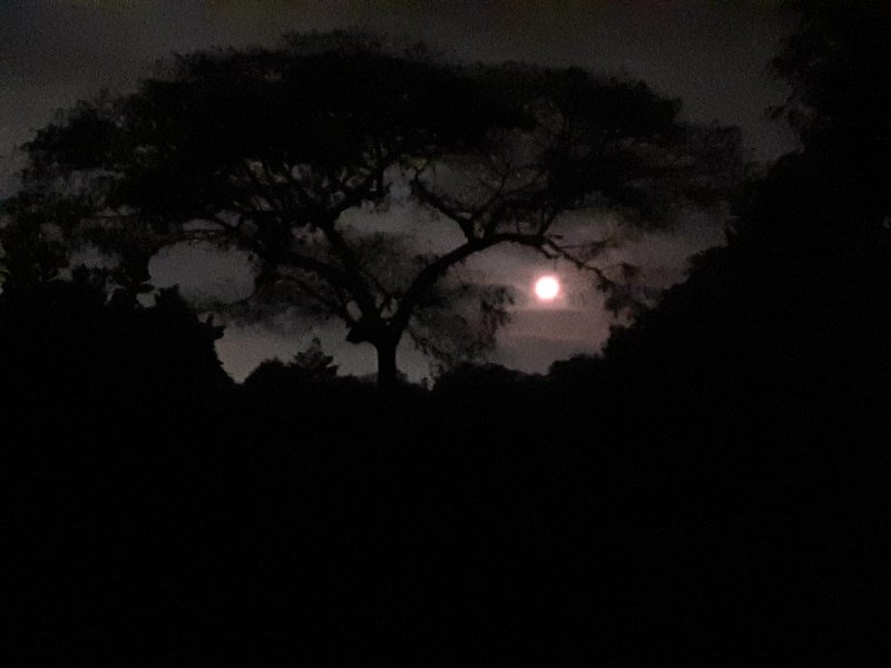 Chácara à venda Chácaras Embu Colonial com 407m² e 5 quartos por R$ 1.850.000 - 878457940-img-20220423-wa0057.jpg