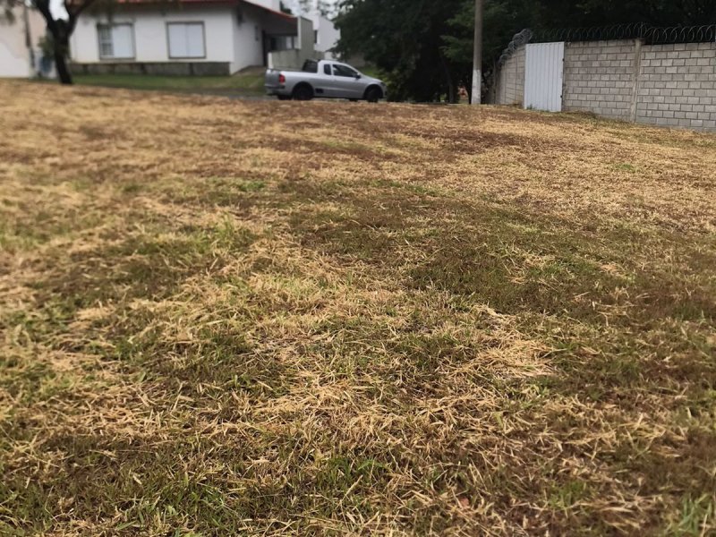 Terreno à venda Centro com 520m² e 1 quarto por R$ 300.000 - 811138869-c1b1d723-5a13-49b9-845f-dcbcadaa6746.jpeg