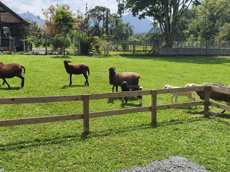 Chácara à venda Centro com 70000m² e 2 quartos por R$ 2.250.000 - 469488701-16846ef7-3319-4ea4-af9e-3c767f70c55b.jpg