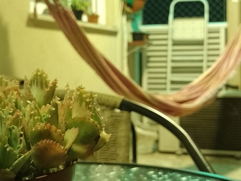 Apartamento à venda Penha com 50m² e 2 quartos por R$ 280.000 - 935769648-whatsapp-image-2022-04-19-at-19.jpeg