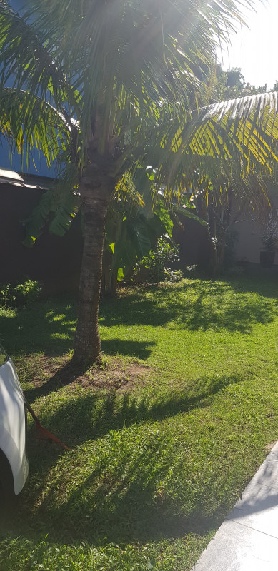 Casa à venda Centro com 450m² e 2 quartos por R$ 650.000 - 457393528-20220426-101055.jpg