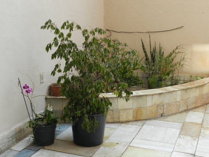 Apartamento à venda Santo Antônio com 225m² e 3 quartos por R$ 850.000 - 1253398907-dscn4231.JPG