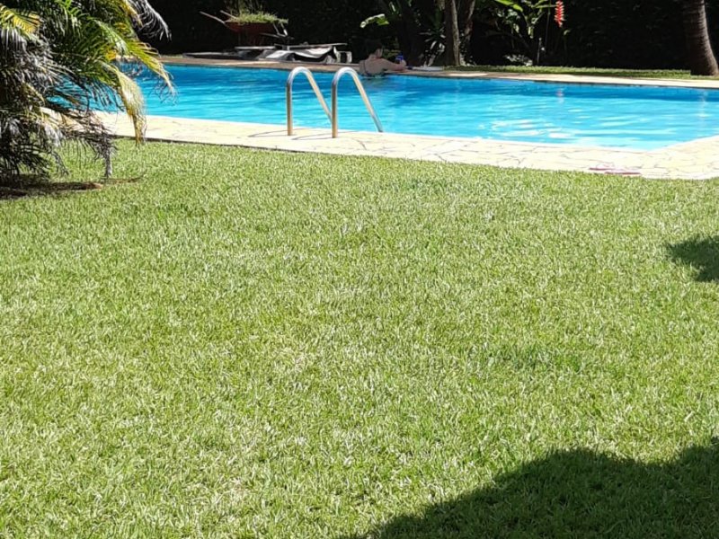 Chácara à venda Pinheirinho com 2500m² e 3 quartos por R$ 550.000 - 956337265-img-20220212-wa0071.jpg