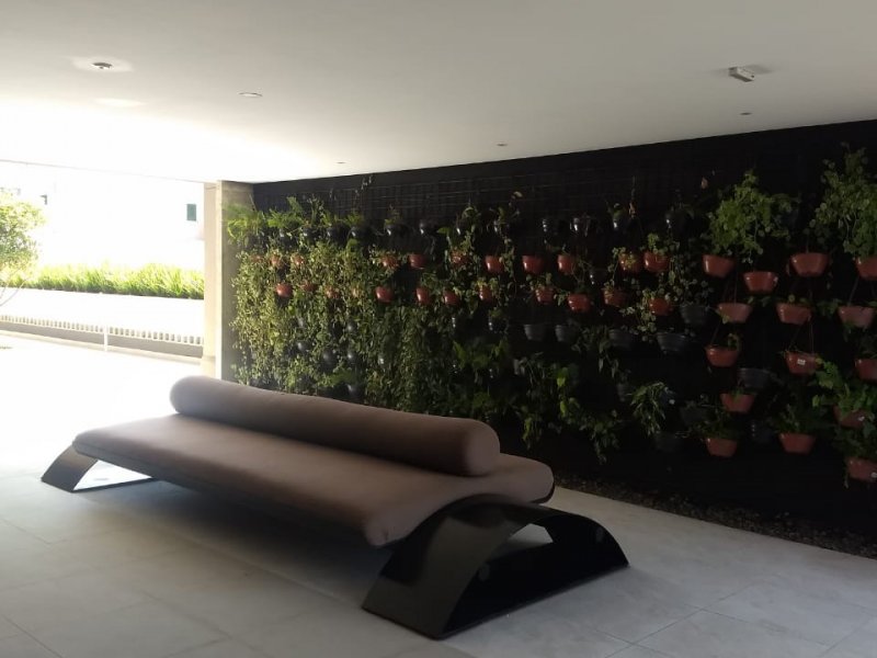 Apartamento à venda Vila Curuca com 80m² e 3 quartos por R$ 610.000 - 168648641-lazer.jpg