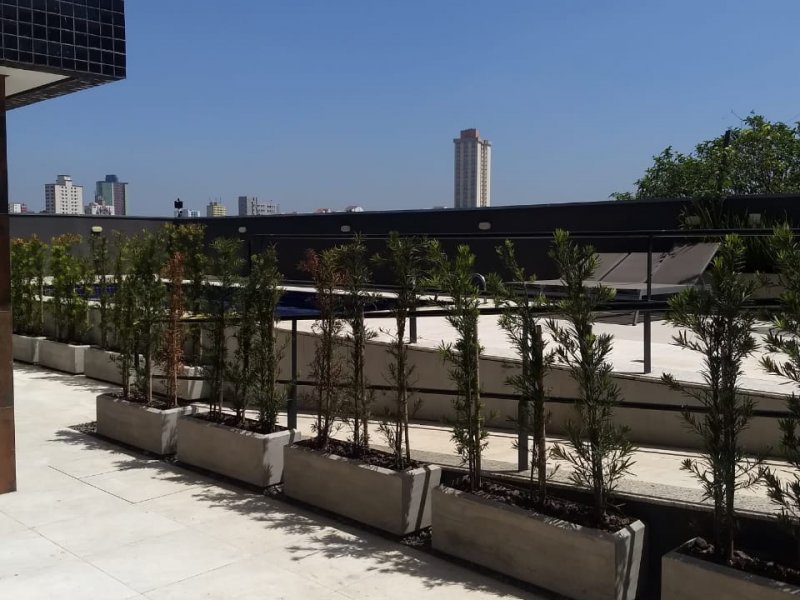 Apartamento à venda Vila Curuca com 80m² e 3 quartos por R$ 610.000 - 926716099-area-da-piscina.jpg