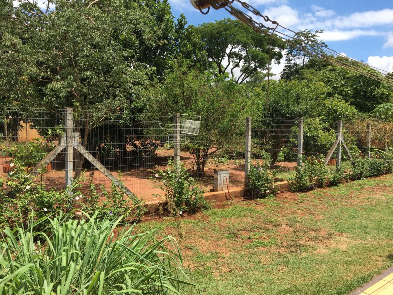 Chácara à venda Itanhangá Chácaras de Recreio com 5000m² e 6 quartos por R$ 1.900.000 - 1741528729-0dc10bb4-30c8-42a9-85bb-4509886b4eed.jpeg