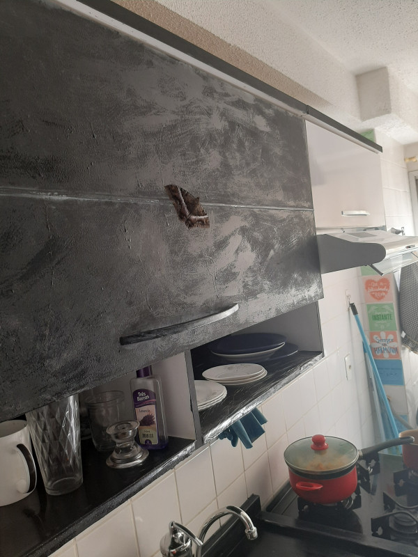 Apartamento à venda Boa Esperança com 66m² e 3 quartos por R$ 245 - 1373577347-20220327-140354.jpg