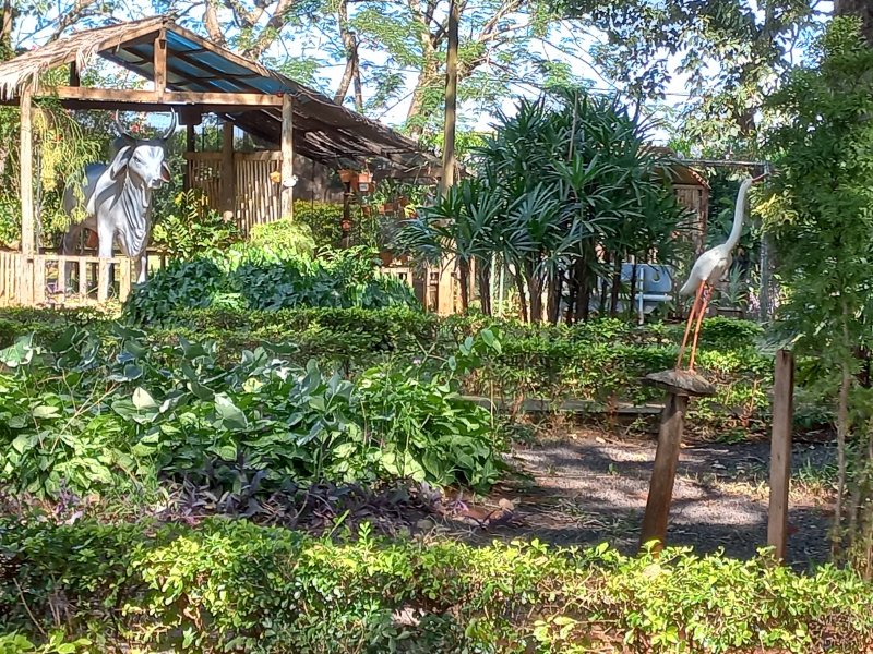 Sítio à venda Machados com 10550m² e 3 quartos por R$ 3.300.000 - 1042141045-20220419-094732.jpg