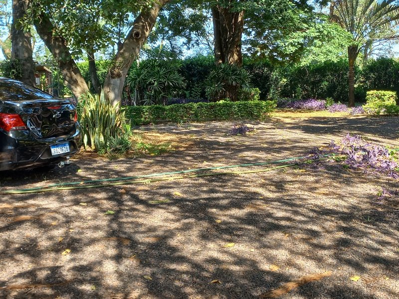 Sítio à venda Machados com 10550m² e 3 quartos por R$ 3.300.000 - 1115411505-20220419-094543.jpg