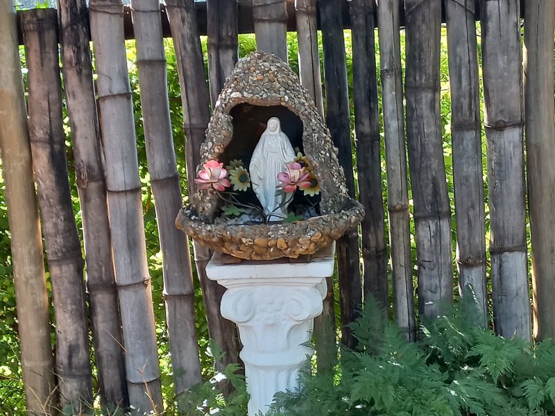 Sítio à venda Machados com 10550m² e 3 quartos por R$ 3.300.000 - 1120748207-20220419-094559.jpg