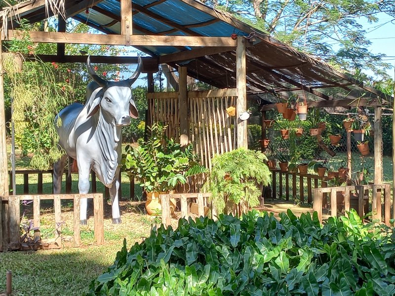 Sítio à venda Machados com 10550m² e 3 quartos por R$ 3.300.000 - 1341578271-20220419-094045.jpg