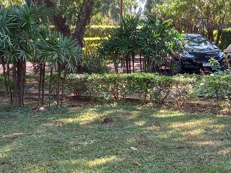 Sítio à venda Machados com 10550m² e 3 quartos por R$ 3.300.000 - 1601761941-20220419-094023.jpg