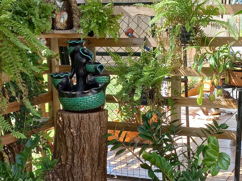 Sítio à venda Machados com 10550m² e 3 quartos por R$ 3.300.000 - 239425279-20220419-094447.jpg