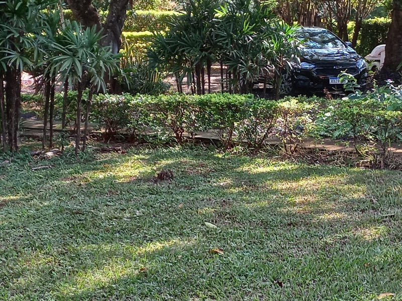 Sítio à venda Machados com 10550m² e 3 quartos por R$ 3.300.000 - 295256470-20220419-094024.jpg