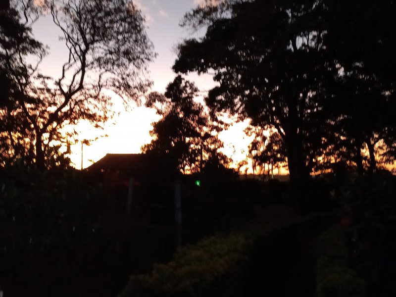 Sítio à venda Machados com 10550m² e 3 quartos por R$ 3.300.000 - 864249341-20220417-182136.jpg