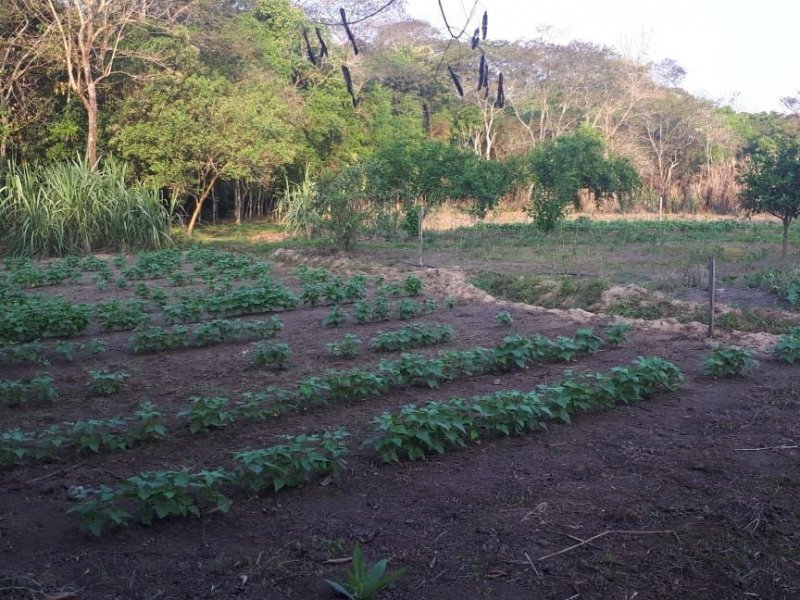 Chácara à venda Bairrinho com 11m² e 3 quartos por R$ 800.000 - 2058067761-40f71a5b-e768-42c4-a2bf-98509e5ae1ee.jpg