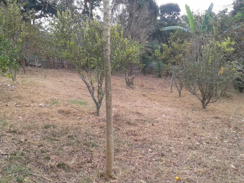 Chácara à venda Bairrinho com 11m² e 3 quartos por R$ 800.000 - 25998526-804d52a5-4ee3-4fef-b4a4-23781a8c107f.jpg