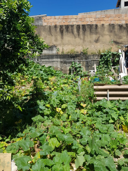 Casa à venda Califórnia com 360m² e 4 quartos por R$ 550.000 - 1185948126-img-20220921-wa0041.jpg