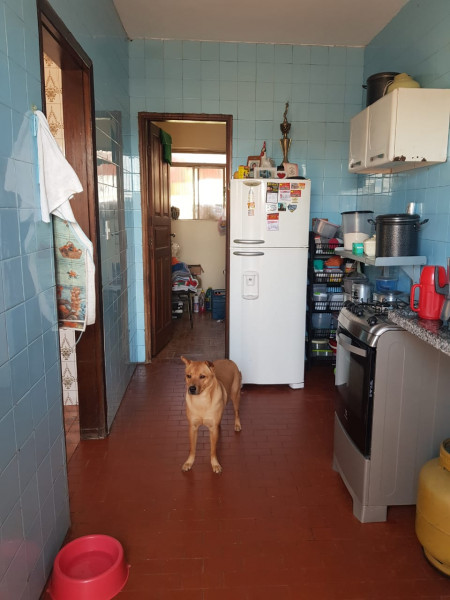 Casa à venda Califórnia com 360m² e 4 quartos por R$ 550.000 - 2000202719-img-20220921-wa0050.jpg