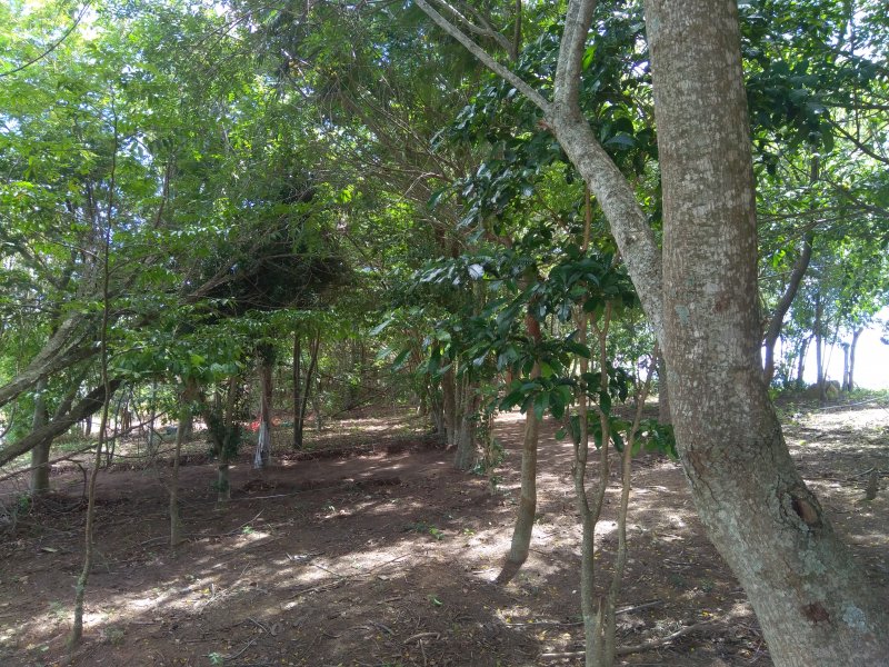 Terreno à venda Centro com 150m² e 1 quarto por R$ 110.000 - 2055352848-19.jpg