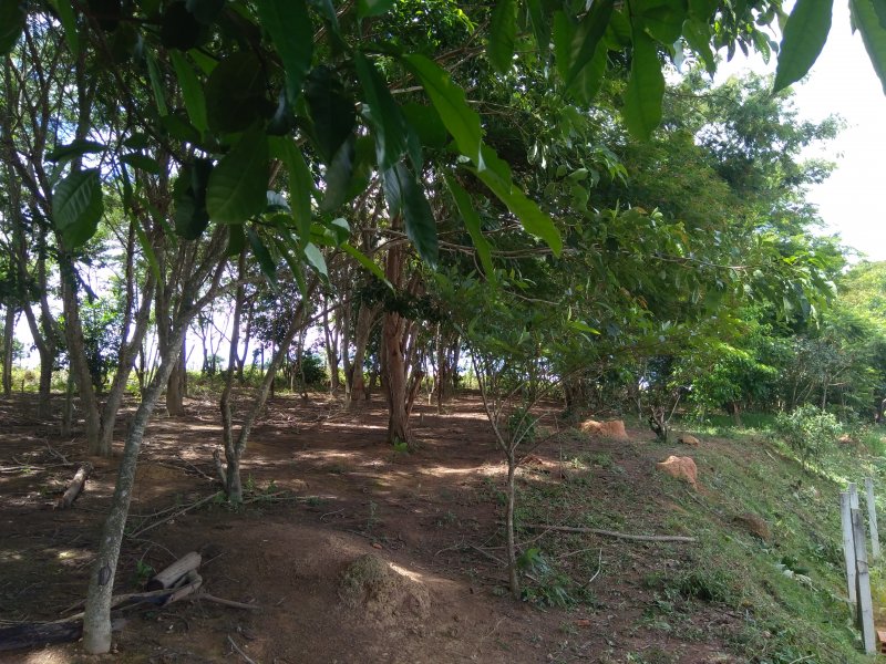 Terreno à venda Centro com 150m² e 1 quarto por R$ 110.000 - 2094462541-20.jpg