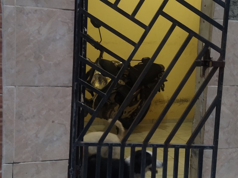 Casa à venda Barra do Ceará com 90m² e 3 quartos por R$ 130.000 - 427200886-img-20220425-173450.jpg