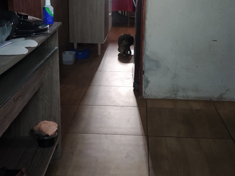 Casa à venda Barra do Ceará com 90m² e 3 quartos por R$ 130.000 - 510152072-img-20220426-154013.jpg